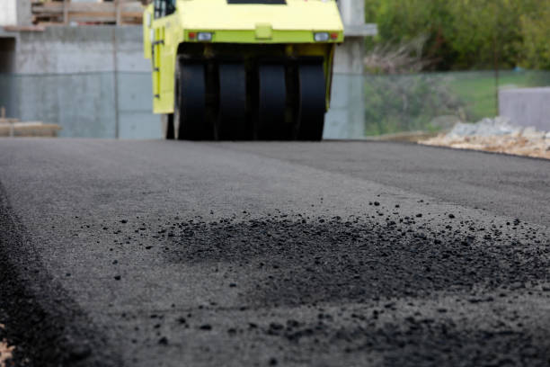 Best Local Driveway Pavers  in Millis Clicquot, MA