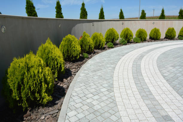 Best Driveway Pavers Contractor  in Millis Clicquot, MA
